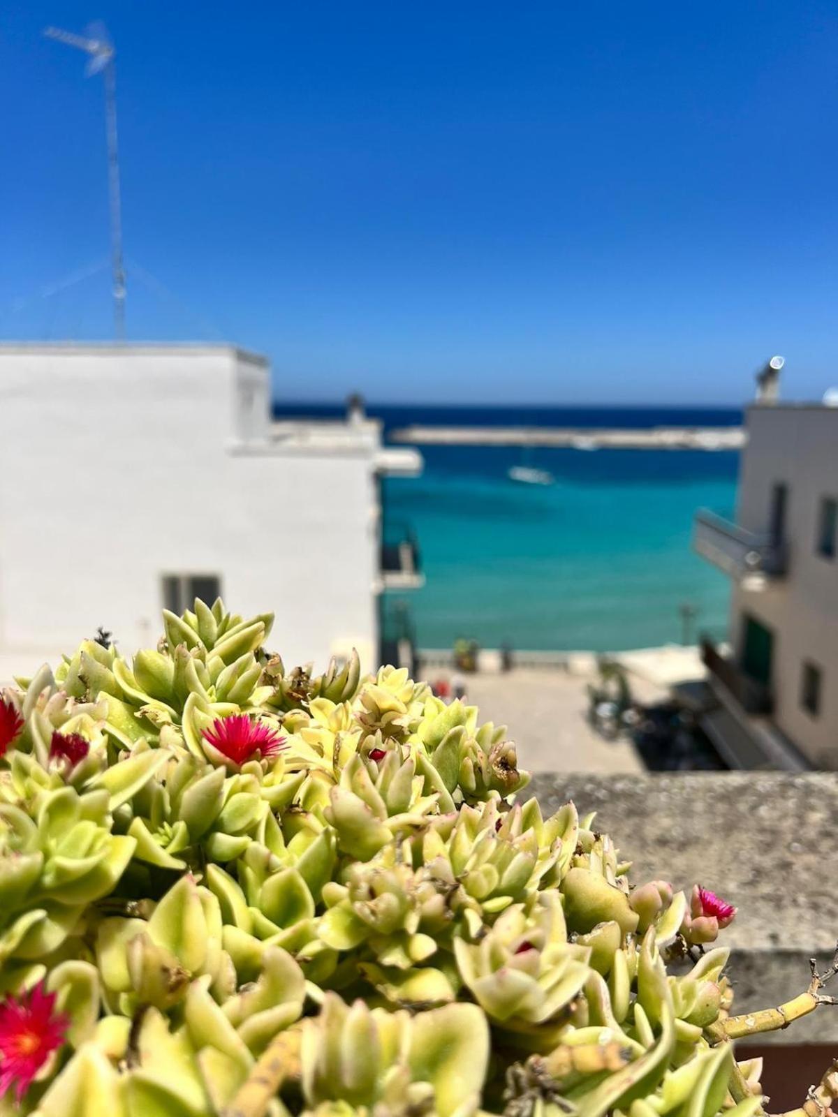 Casaulmi Apartment Otranto Exterior photo